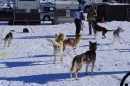 Schlittenhunderennen-Bernau-04022012-Bodensee-Community-seechat_de_123.jpg