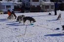 Schlittenhunderennen-Bernau-04022012-Bodensee-Community-seechat_de_126.jpg