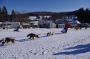 Schlittenhunderennen-Bernau-04022012-Bodensee-Community-seechat_de_129.jpg