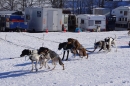 Schlittenhunderennen-Bernau-04022012-Bodensee-Community-seechat_de_130.jpg