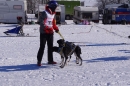 Schlittenhunderennen-Bernau-04022012-Bodensee-Community-seechat_de_131.jpg