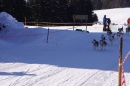 Schlittenhunderennen-Bernau-04022012-Bodensee-Community-seechat_de_15.jpg