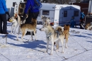 Schlittenhunderennen-Bernau-04022012-Bodensee-Community-seechat_de_58.jpg