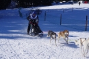 Schlittenhunderennen-Bernau-04022012-Bodensee-Community-seechat_de_83.jpg