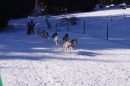 Schlittenhunderennen-Bernau-04022012-Bodensee-Community-seechat_de_84.jpg