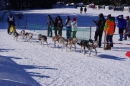 Schlittenhunderennen-Bernau-04022012-Bodensee-Community-seechat_de_86.jpg