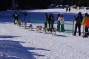 Schlittenhunderennen-Bernau-04022012-Bodensee-Community-seechat_de_87.jpg