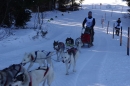 Schlittenhunderennen-Bernau-04022012-Bodensee-Community-seechat_de_92.jpg