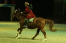 PFERDEGALA-Im-Takt-der-Pferde-Friedrichshafen-100212-Bodens_ee-SEECHAT_DE-IMG_2862.JPG