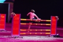 PFERDEGALA-Im-Takt-der-Pferde-Friedrichshafen-100212-Bodens_ee-SEECHAT_DE-IMG_3713.JPG