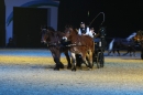 PFERDEGALA-Im-Takt-der-Pferde-Friedrichshafen-100212-Bodens_ee-SEECHAT_DE-IMG_3728.JPG