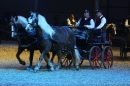 PFERDEGALA-Im-Takt-der-Pferde-Friedrichshafen-100212-Bodens_ee-SEECHAT_DE-IMG_3732.JPG