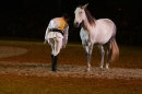 PFERDEGALA-Im-Takt-der-Pferde-Friedrichshafen-100212-Bodens_ee-SEECHAT_DE-IMG_3771.JPG