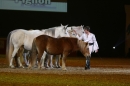 PFERDEGALA-Im-Takt-der-Pferde-Friedrichshafen-100212-Bodens_ee-SEECHAT_DE-IMG_3785.JPG