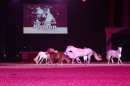 PFERDEGALA-Im-Takt-der-Pferde-Friedrichshafen-100212-Bodens_ee-SEECHAT_DE-IMG_3813.JPG