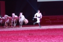 PFERDEGALA-Im-Takt-der-Pferde-Friedrichshafen-100212-Bodens_ee-SEECHAT_DE-IMG_3823.JPG