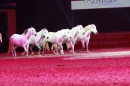 PFERDEGALA-Im-Takt-der-Pferde-Friedrichshafen-100212-Bodens_ee-SEECHAT_DE-IMG_3824.JPG