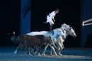 PFERDEGALA-Im-Takt-der-Pferde-Friedrichshafen-100212-Bodens_ee-SEECHAT_DE-IMG_3901.JPG