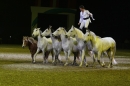 PFERDEGALA-Im-Takt-der-Pferde-Friedrichshafen-100212-Bodens_ee-SEECHAT_DE-IMG_3928.JPG