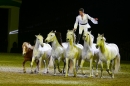 X1-PFERDEGALA-Im-Takt-der-Pferde-Friedrichshafen-100212-Bodens_ee-SEECHAT_DE-IMG_3923.JPG