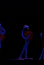 Ordensabend-NV-Neu-Boehringen-Singen-10022012-Bodensee-Community-seechat_de-_33.jpg