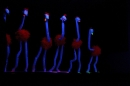 Ordensabend-NV-Neu-Boehringen-Singen-10022012-Bodensee-Community-seechat_de-_40.jpg