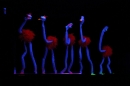 Ordensabend-NV-Neu-Boehringen-Singen-10022012-Bodensee-Community-seechat_de-_41.jpg