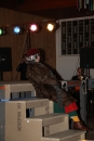 Ordensabend-NV-Neu-Boehringen-Singen-10022012-Bodensee-Community-seechat_de-_95.jpg