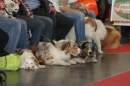 Hundemesse-Mein-Hund-Ravensburg-260212-Bodensee-Community-SEECHAT_DE-IMG_9091.JPG