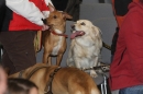 Hundemesse-Mein-Hund-Ravensburg-260212-Bodensee-Community-SEECHAT_DE-IMG_9098.JPG