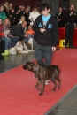 Hundemesse-Mein-Hund-Ravensburg-260212-Bodensee-Community-SEECHAT_DE-IMG_9099.JPG