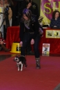Hundemesse-Mein-Hund-Ravensburg-260212-Bodensee-Community-SEECHAT_DE-IMG_9104.JPG