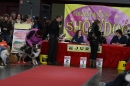 Hundemesse-Mein-Hund-Ravensburg-260212-Bodensee-Community-SEECHAT_DE-IMG_9112.JPG