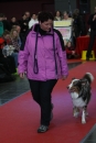 Hundemesse-Mein-Hund-Ravensburg-260212-Bodensee-Community-SEECHAT_DE-IMG_9115.JPG