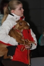 Hundemesse-Mein-Hund-Ravensburg-260212-Bodensee-Community-SEECHAT_DE-IMG_9133.JPG