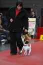 Hundemesse-Mein-Hund-Ravensburg-260212-Bodensee-Community-SEECHAT_DE-IMG_9204.JPG