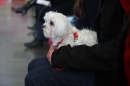 Hundemesse-Mein-Hund-Ravensburg-260212-Bodensee-Community-SEECHAT_DE-IMG_9217.JPG