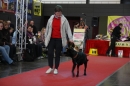 Hundemesse-Mein-Hund-Ravensburg-260212-Bodensee-Community-SEECHAT_DE-IMG_9222.JPG