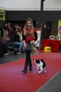 Hundemesse-Mein-Hund-Ravensburg-260212-Bodensee-Community-SEECHAT_DE-IMG_9251.JPG