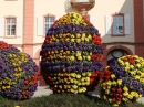 Insel-Mainau-23-03-2012-Bodensee-Community-SEECHAT_DE-_113.JPG