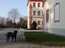 Insel-Mainau-23-03-2012-Bodensee-Community-SEECHAT_DE-_140.JPG