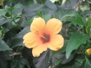 Insel-Mainau-23-03-2012-Bodensee-Community-SEECHAT_DE-_25.JPG