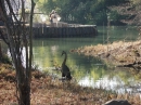 Insel-Mainau-23-03-2012-Bodensee-Community-SEECHAT_DE-_90.JPG