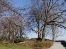 Insel-Mainau-23-03-2012-Bodensee-Community-SEECHAT_DE-_97.JPG