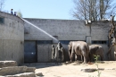 Zoo-Zuerich-26042012-Bodensee-Community_SEECHAT_DE-_101.jpg