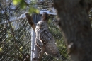 Zoo-Zuerich-26042012-Bodensee-Community_SEECHAT_DE-_112.jpg