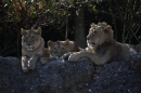 Zoo-Zuerich-26042012-Bodensee-Community_SEECHAT_DE-_119.jpg