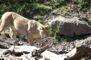 Zoo-Zuerich-26042012-Bodensee-Community_SEECHAT_DE-_121.jpg