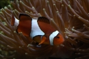 Zoo-Zuerich-26042012-Bodensee-Community_SEECHAT_DE-_143.jpg