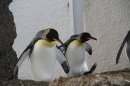 Zoo-Zuerich-26042012-Bodensee-Community_SEECHAT_DE-_26.jpg